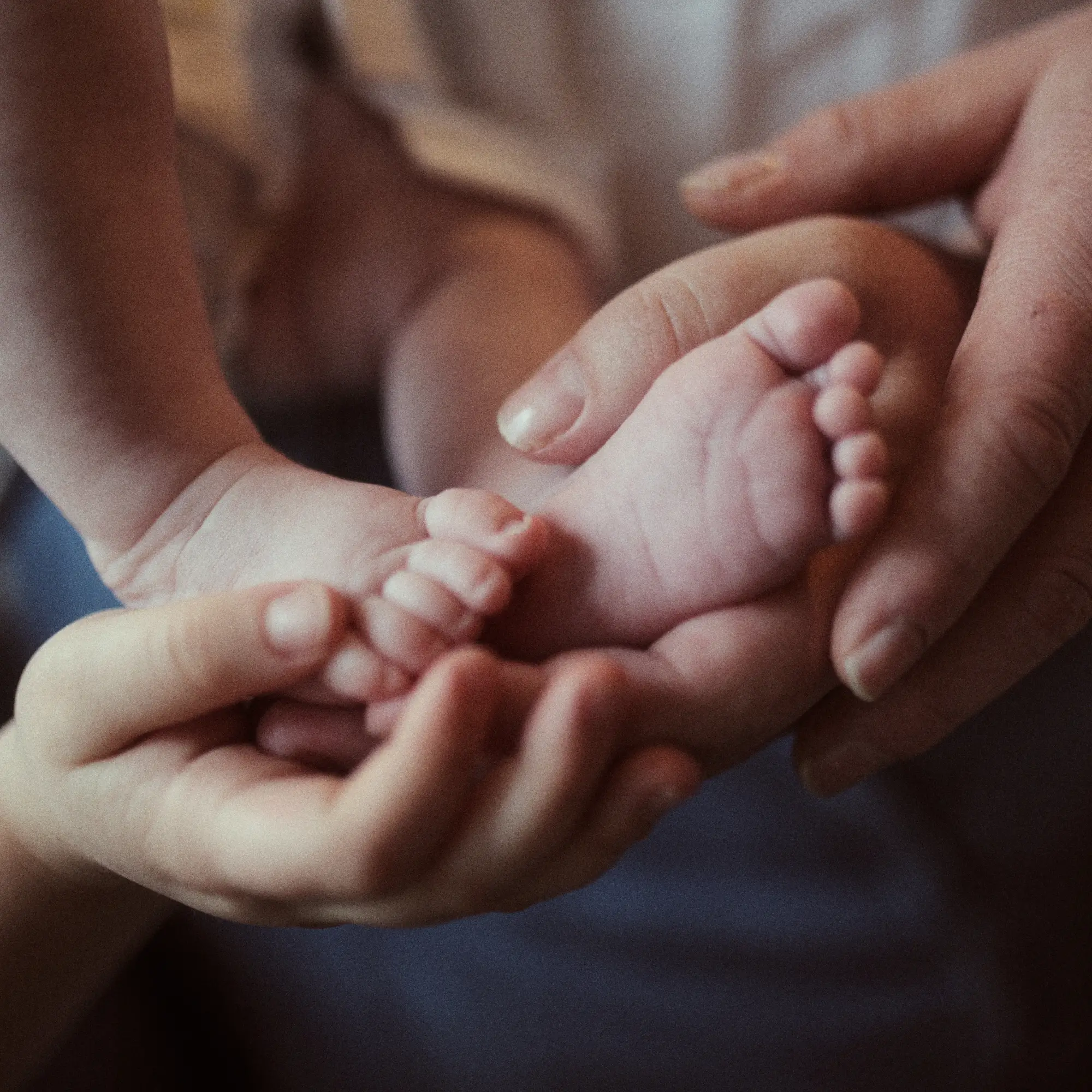Newborn held by family