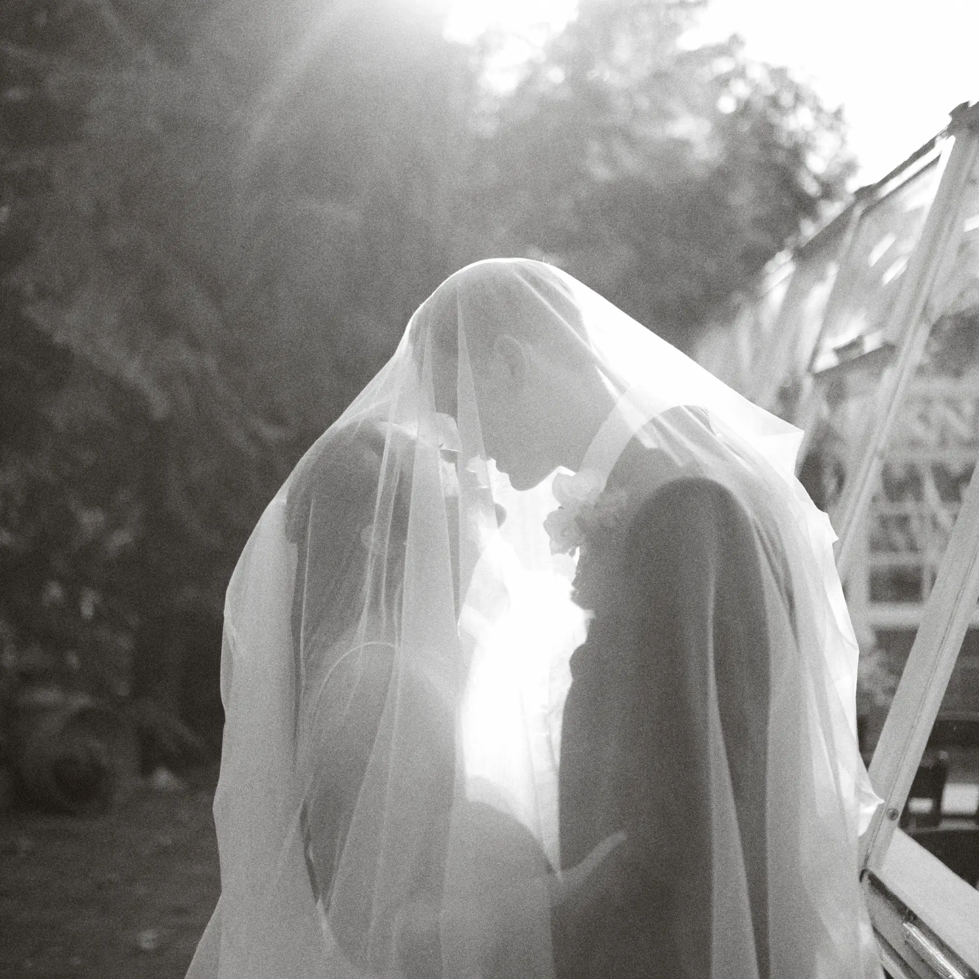 Wedding couple beneath a veil