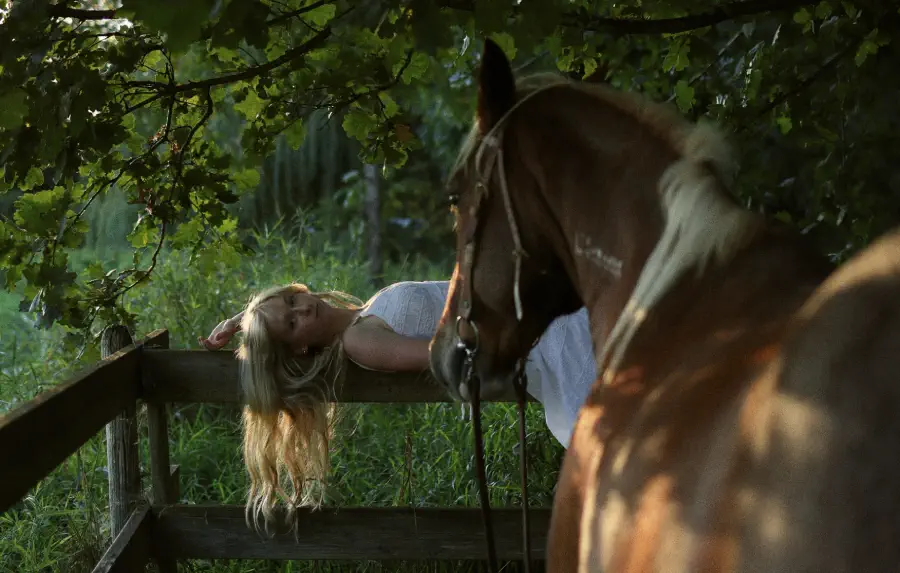 Portrait session with a horse